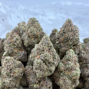 Electronic Watermelon